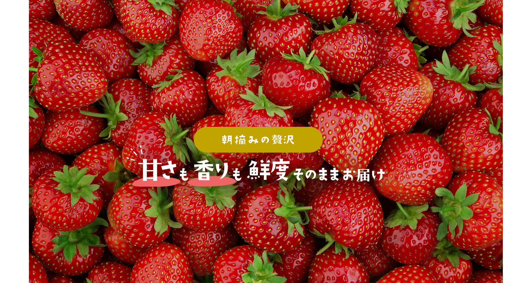 まどか農園